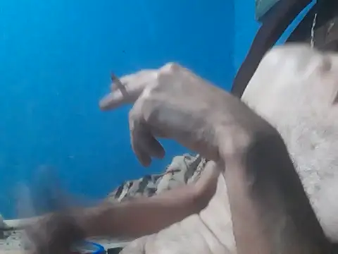 Snapshot of hugosafado333 chatting on October 15, 6:35 am hugosafado333 online show from October 15, 6:35 am