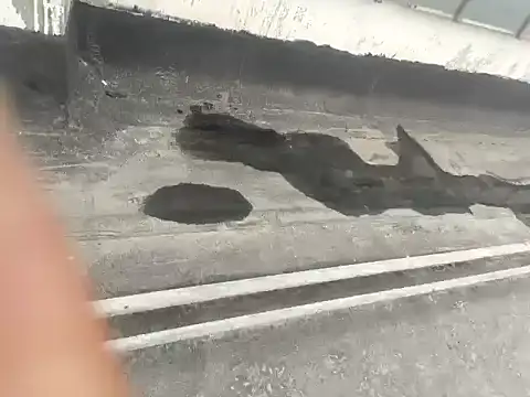 Gururonny07 online show from January 15, 5:29 am