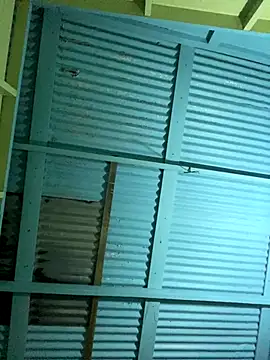 islandvybee55 online show from December 16, 5:01 am