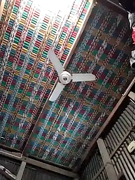 Koyel-Sen online show from January 22, 7:03 am