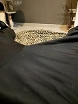 HotBoy6699 online show from February 11, 2:16 am