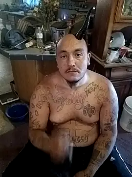 wilsons12 online show from October 25, 2:46 pm