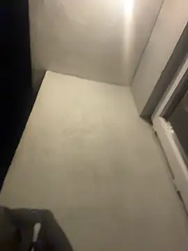 eddy355 online show from December 19, 7:54 pm