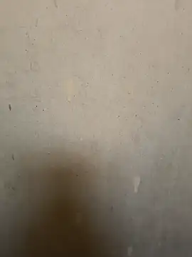 loveme99004 online show from February 16, 2:29 am