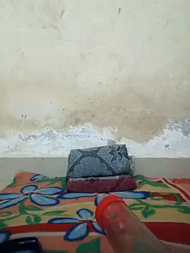 Newalcock online show from February 10, 12:30 am