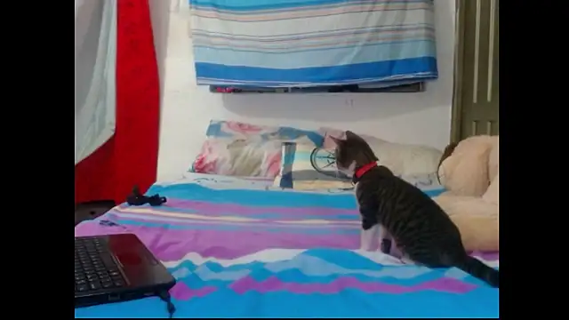 Snapshot of perverted_couple_- chatting on December 23, 1:08 am perverted couple - online show from December 23, 1:08 am