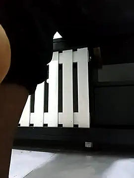 Snapshot of JasminePrice chatting on December 1, 4:50 am JasminePrice online show from December 1, 4:50 am