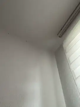 Snapshot of derFickerali chatting on October 20, 9:21 am derFickerali online show from October 20, 9:21 am