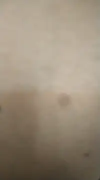 Snapshot of rohitlov150 chatting on February 13, 11:50 am rohitlov150 online show from February 13, 11:50 am