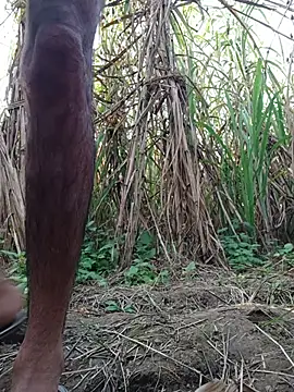 Snapshot of cjonybab chatting on November 18, 10:20 am cjonybab online show from November 18, 10:20 am