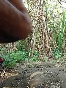 Snapshot of cjonybab chatting on November 23, 6:46 am cjonybab online show from November 23, 6:46 am