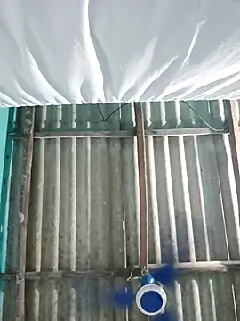 hotbaby 5 online show from October 7, 3:36 am