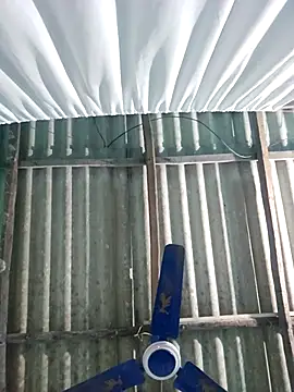 hotbaby 5 online show from November 22, 6:34 am