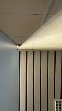 frnk30151 online show from September 21, 3:02 pm