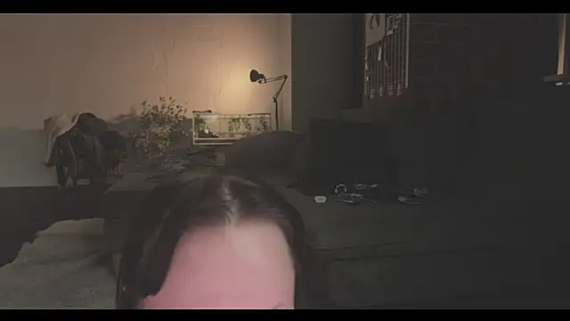 Snapshot of vinylstore chatting on January 22, 3:40 pm vinylstore online show from January 22, 3:40 pm