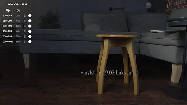 Snapshot of vinylstore chatting on February 9, 4:57 am vinylstore online show from February 9, 4:57 am