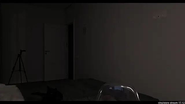 vinylstore online show from December 17, 5:19 pm