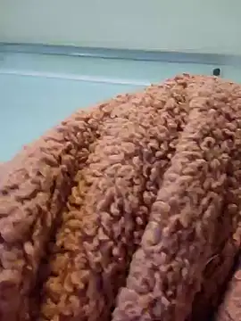 Snapshot of 911Calling chatting on December 14, 4:01 am 911Calling online show from December 14, 4:01 am