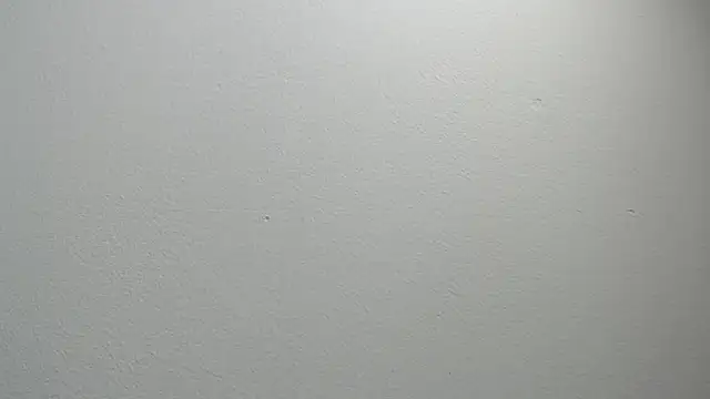 Snapshot of sussy_leon chatting on February 11, 12:16 pm sussy leon online show from February 11, 12:16 pm