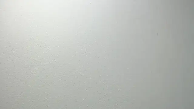 Snapshot of sussy_leon chatting on February 20, 12:15 pm sussy leon online show from February 20, 12:15 pm