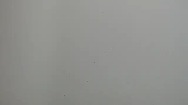 Snapshot of sussy_leon chatting on March 18, 12:25 pm sussy leon online show from March 18, 12:25 pm