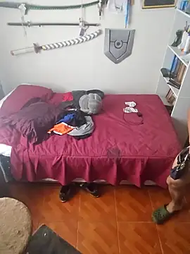 Snapshot of boy_1993 chatting on January 13, 1:17 pm boy 1993 online show from January 13, 1:17 pm