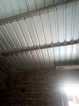 Shubu 76 online show from September 15, 6:02 am