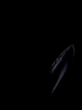 Snapshot of Inkognito0495 chatting on October 29, 5:31 am Inkognito0495 online show from October 29, 5:31 am