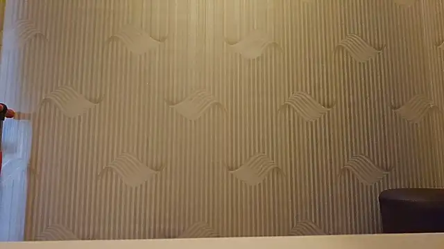 Snapshot of AlejandraDelaney chatting on December 4, 7:50 am AlejandraDelaney online show from December 4, 7:50 am