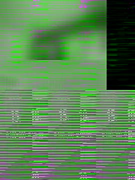 Snapshot of Rajni-Mehra chatting on December 18, 4:51 am Rajni-Mehra online show from December 18, 4:51 am