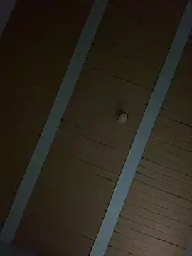 macg96 online show from December 17, 9:15 am