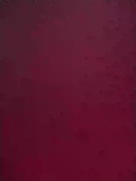 Norve26 online show from February 2, 1:08 pm