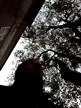 openlegsforyou online show from November 22, 10:03 am