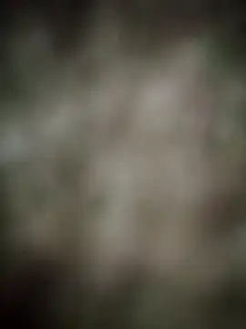 Snapshot of INDIANBOY7439 chatting on March 5, 10:33 am INDIANBOY7439 online show from March 5, 10:33 am