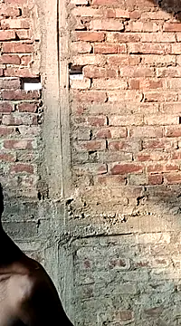 NICK IN online show from March 2, 10:14 am