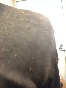 Snapshot of agaupt2 chatting on December 16, 10:48 pm agaupt2 online show from December 16, 10:48 pm