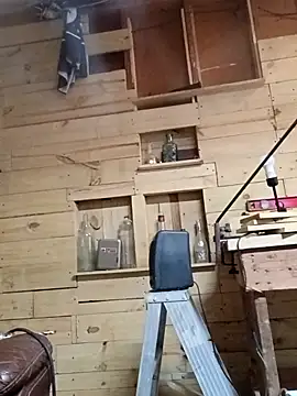 Snapshot of Buffshagswell chatting on November 21, 3:00 pm Buffshagswell online show from November 21, 3:00 pm