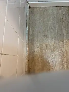 Snapshot of reelciii21 chatting on March 23, 12:58 am reelciii21 online show from March 23, 12:58 am