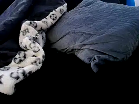 Snapshot of Niquitasparkles chatting on December 23, 12:35 am Niquitasparkles online show from December 23, 12:35 am