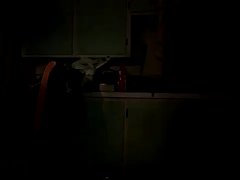 Frankdick01 online show from October 4, 5:05 am