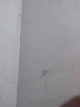 Snapshot of Negrocomedo chatting on March 6, 1:51 pm Negrocomedo online show from March 6, 1:51 pm