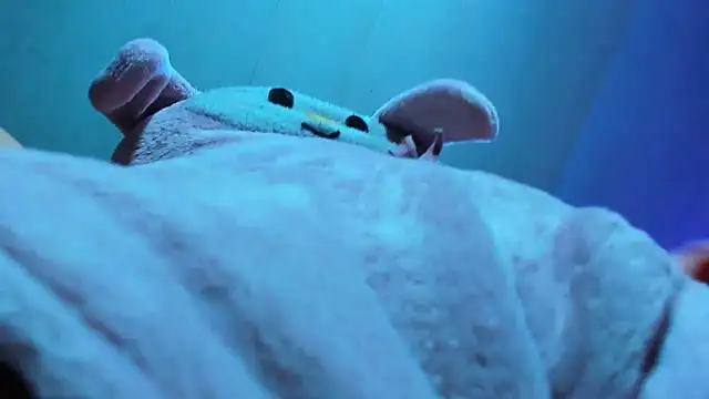 Lily stone04 online show from December 16, 8:08 am