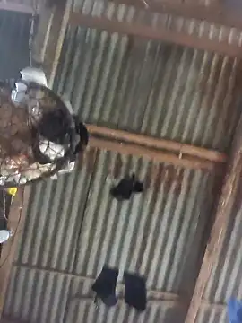 Reynold2608 online show from December 22, 8:50 pm