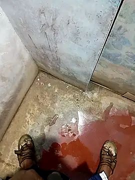 Andrapradesh online show from November 21, 4:49 pm