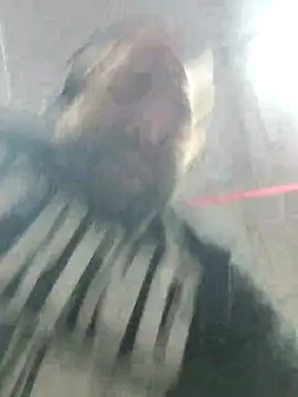 Strong Bear89 online show from December 2, 3:04 am