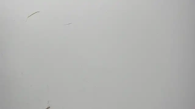 Karljensen33 online show from December 27, 5:42 am