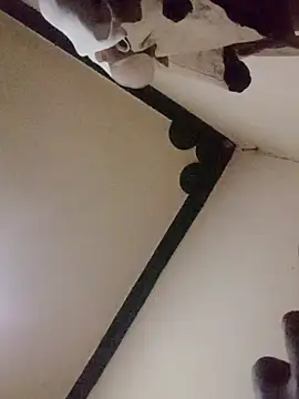 Danny lady online show from December 16, 11:21 pm