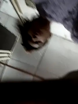 zoya khan25 online show from December 28, 2:42 pm