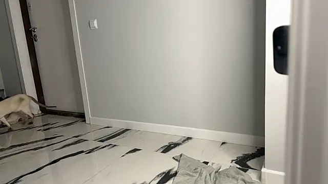 Snapshot of elisa_moon chatting on December 23, 5:06 am elisa moon online show from December 23, 5:06 am