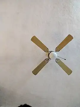 FreakySag 8888 online show from March 10, 2:06 am